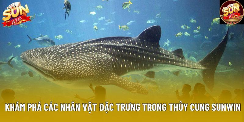 Khám phá các nhân vật đặc trưng trong Thủy Cung Sunwin